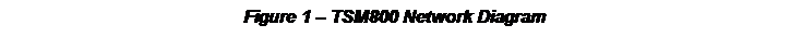 Text Box: Figure 1 – TSM800 Network Diagram